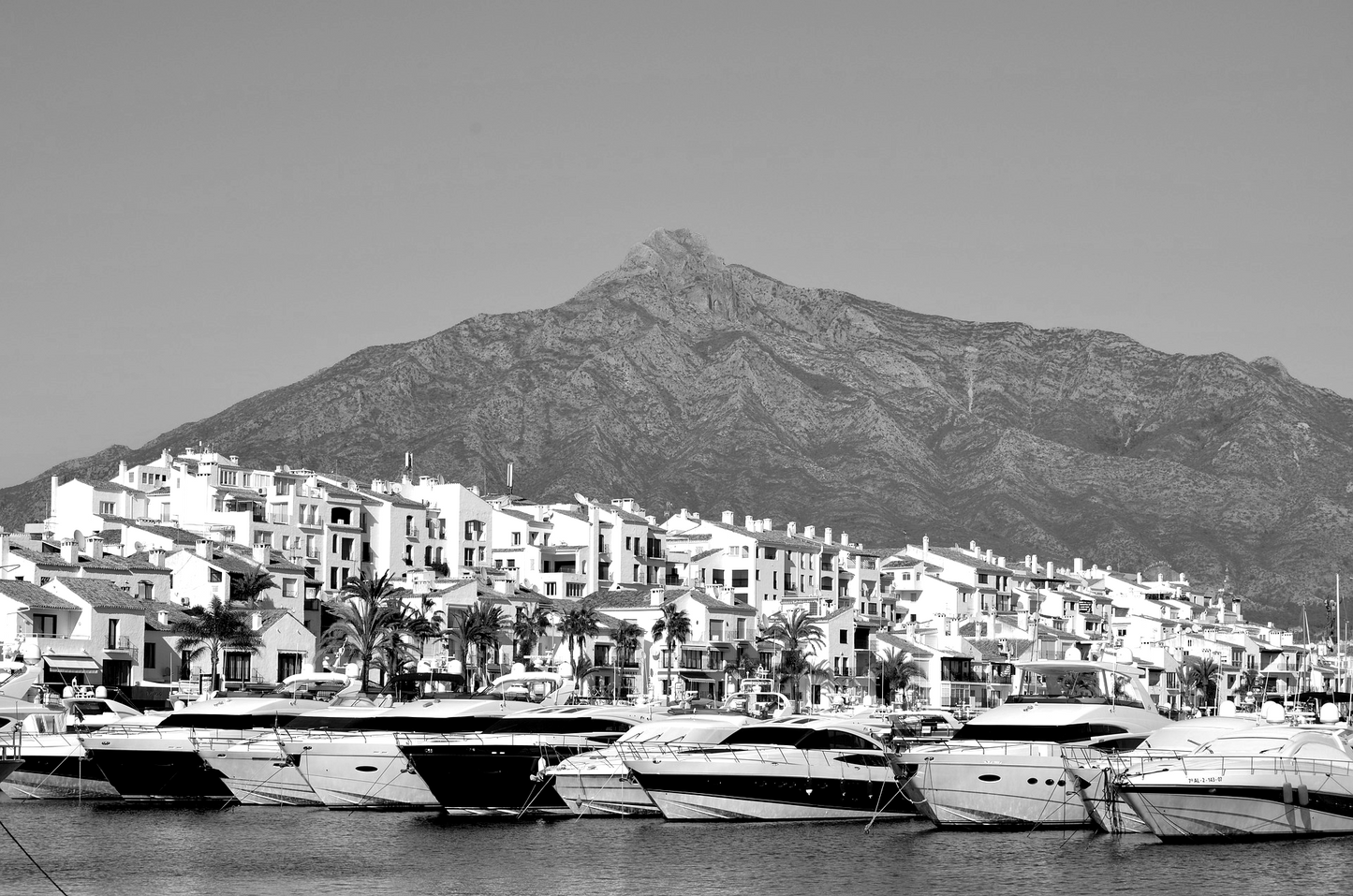 Pure Sense of Marbella